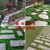 青石板板巖文化石庫(kù)存青石板文化石 青石板汀步石踏步石